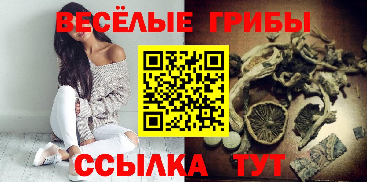 Прокопьевск  Галлюциногенные грибы MAGIC MUSHROOMS  Вход с VPN 